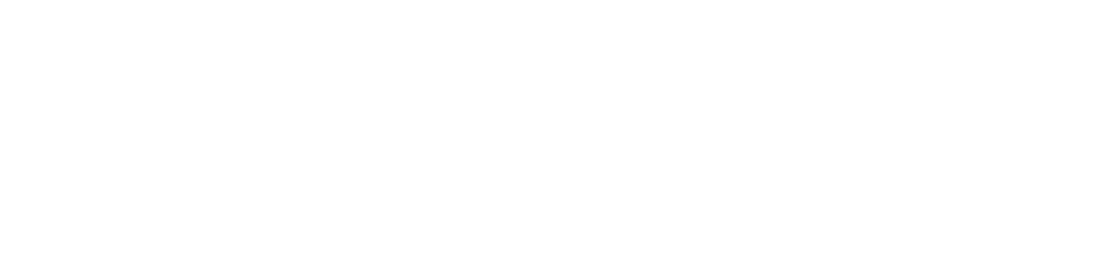 Cofer Ferro e Aço